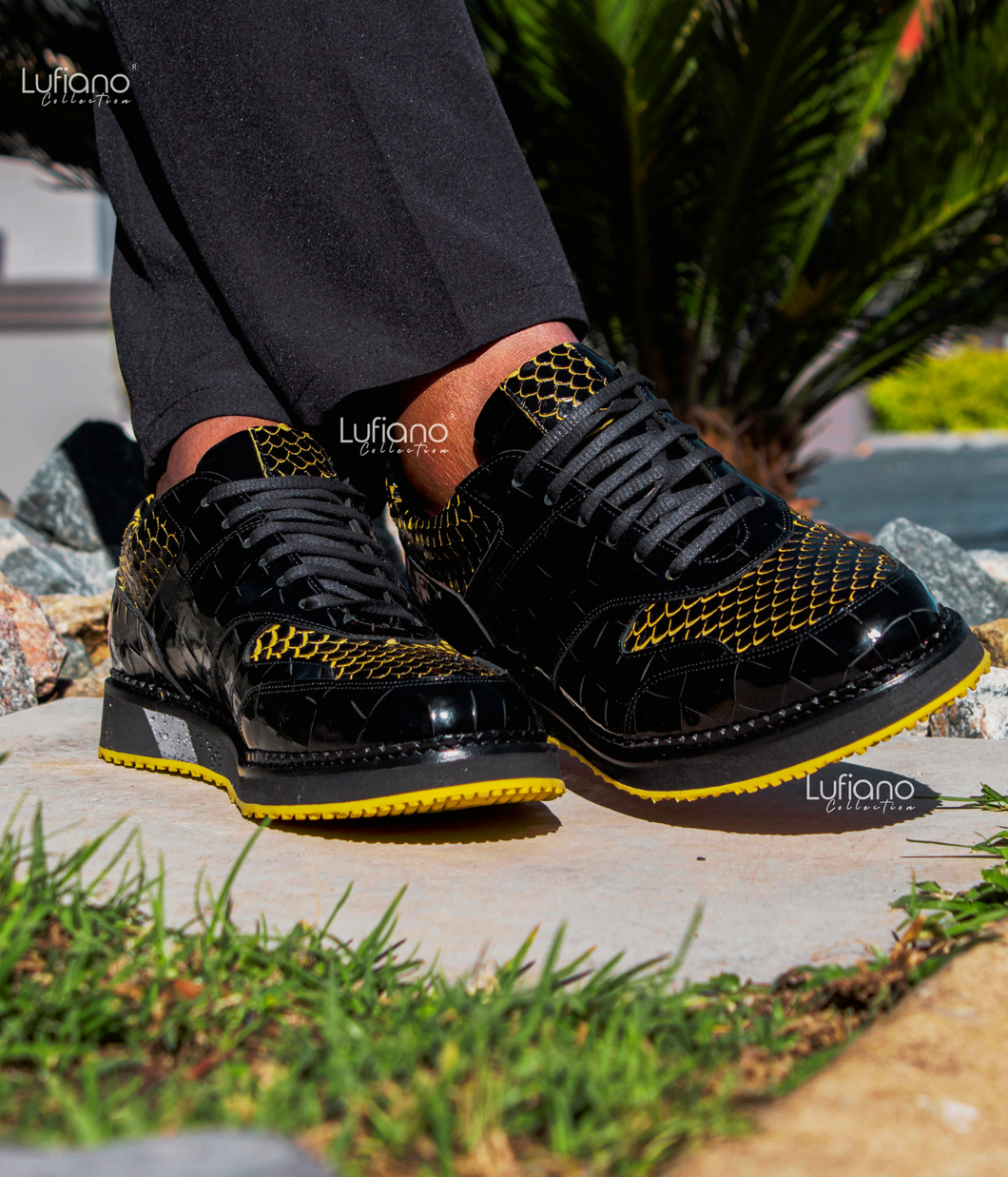 221 Lufiano Lace up : Black- Yellow